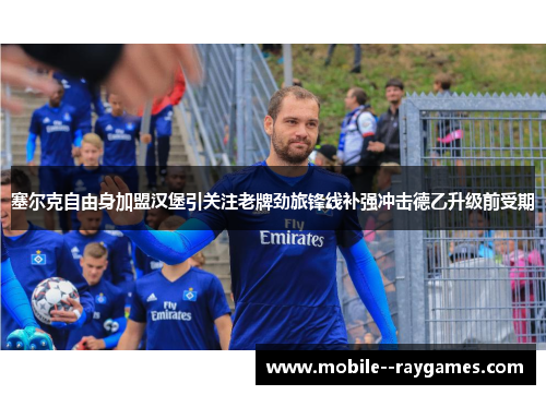 塞尔克自由身加盟汉堡引关注老牌劲旅锋线补强冲击德乙升级前受期